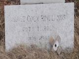 image of grave number 665216